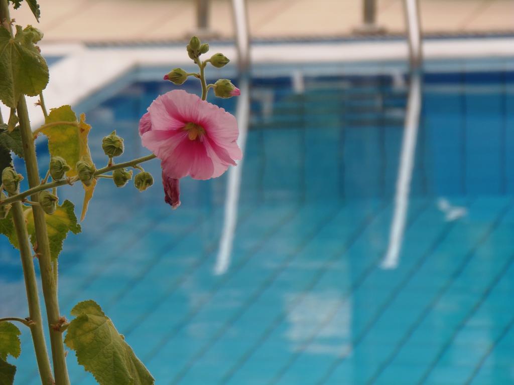 Emerald Hotel Mália Zewnętrze zdjęcie